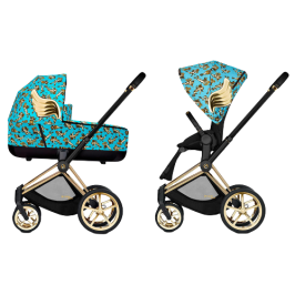 Stroller 2in1