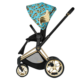 Pushchairs