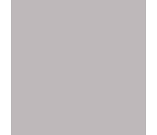 Carrello Delta Flint Grey CRL-5517 Прогулочная Коляска
