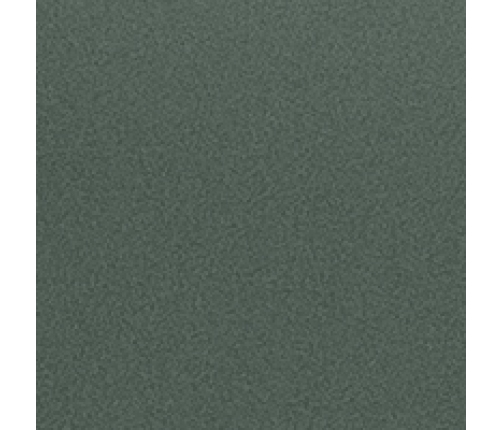 Carrello Nova CRL-5521 Rainforest Green Прогулочная коляска