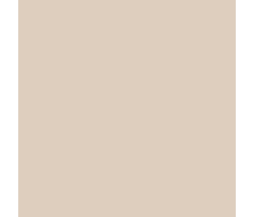 Carrello Vector CRL-6550 Seashell Beige Детская коляска 2in1