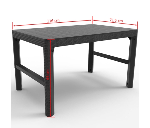 Keter Mesa de jardín Lyon color grafito 232300