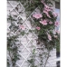 Nature Enrejado de jardín 50x150 cm PVC blanco 6040701