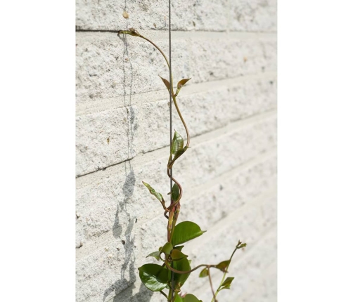 Nature Juego de alambre para enrejado para plantas trepadoras