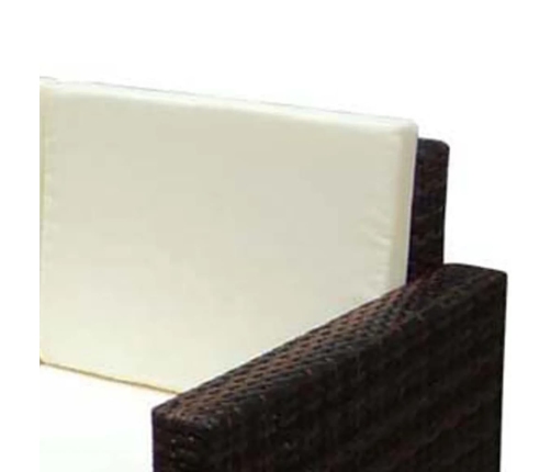 Set muebles de jardín 2 piezas y cojines ratán sintético marrón