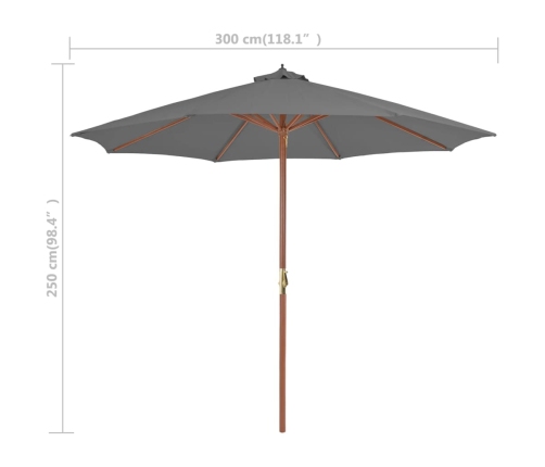 Sombrilla de jardín con palo de madera antracita 300 cm