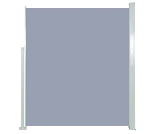 Toldo lateral retráctil 160x500 cm gris