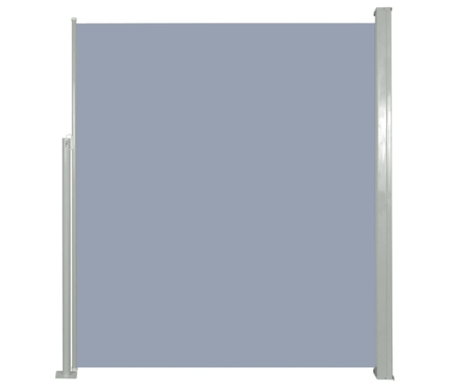 Toldo lateral de jardín o terraza 160x300 cm gris