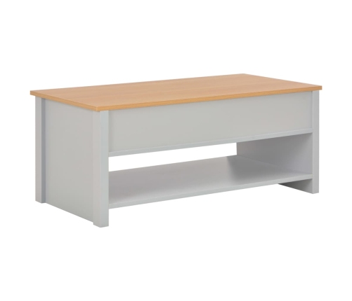 vidaXL Mesa de centro gris 100x50x42 cm