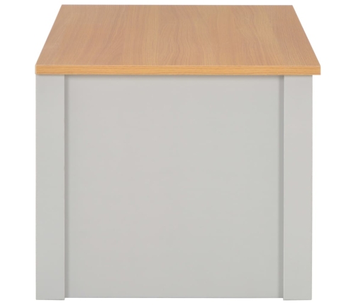 vidaXL Mesa de centro gris 100x50x42 cm