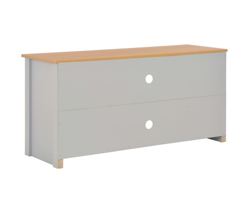 Mueble de TV gris 120x39x58 cm