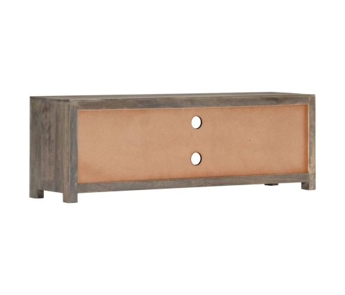 vidaXL Mueble para TV de madera maciza reciclada gris 120x30x40 cm