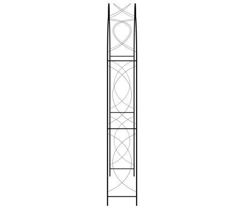 Arco de jardín hierro negro 150x34x240 cm