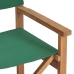 vidaXL Silla de director madera maciza de teca verde