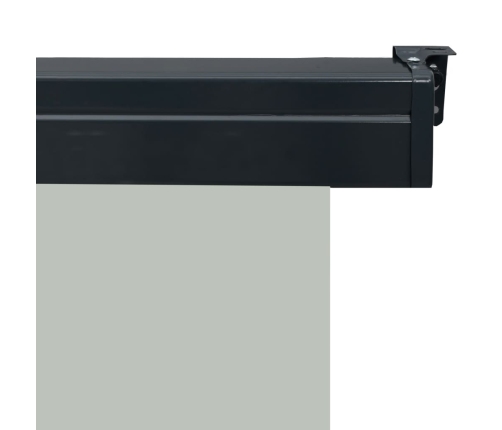 Toldo lateral de balcón gris 105x250 cm