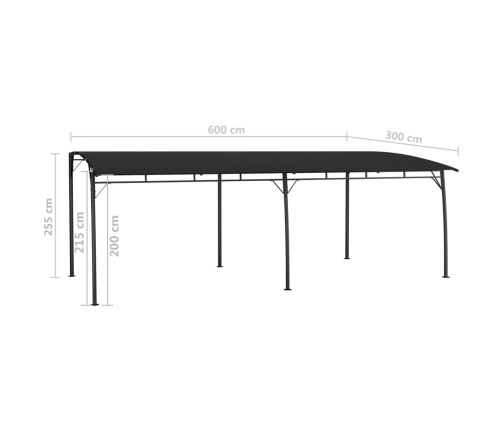 Toldo parasol de jardín gris antracita 6x3x2,55 m