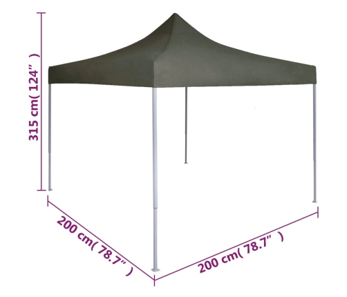 Carpa plegable profesional acero gris antracita 2x2 m