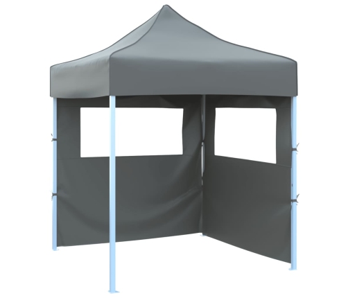 Carpa plegable profesional 2 paredes acero gris antracita 2x2 m