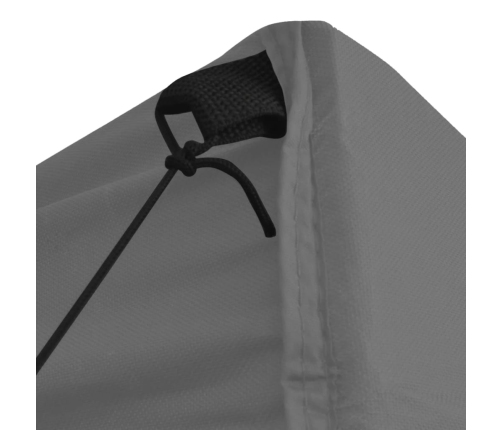 Carpa plegable profesional 4 paredes acero gris antracita 2x2 m