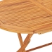 vidaXL Mesa plegable de jardín madera maciza de teca 160x80x75 cm