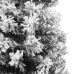 Árbol de Navidad artificial verde con nieve PVC 180 cm