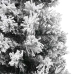 Árbol de Navidad artificial delgado verde con nieve PVC 240 cm