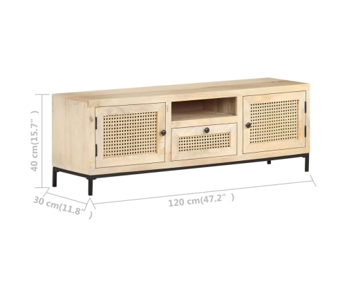 vidaXL Mueble para TV madera maciza mango y caña natural 120x30x40 cm