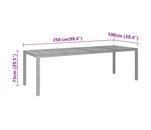 Mesa jardín madera acacia ratán sintético negro 250x100x75 cm