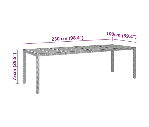 Mesa de jardín ratán PE madera acacia maciza gris 250x100x75 cm