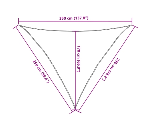 Toldo de vela gris antracita HDPE 160 g/m² 2,5x2,5x3,5 m