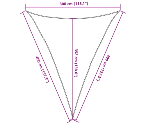 Toldo de vela gris antracita HDPE 160 g/m² 3x4x4 m