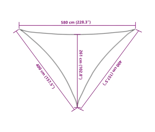 Toldo de vela antracita HDPE 160 g/m² 4x4x5,8 m