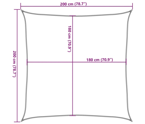 Toldo de vela verde oscuro HDPE 160 g/m² 2x2 m