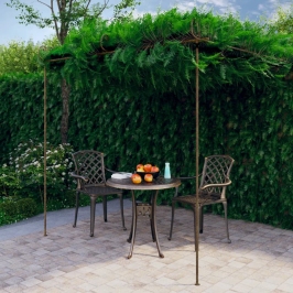 Pérgola de jardín marrón antiguo 3x3x2,5 m hierro