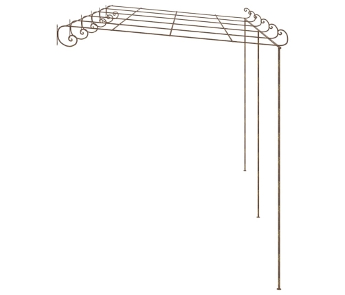 Pérgola de jardín marrón antiguo 6x3x2,5 m hierro