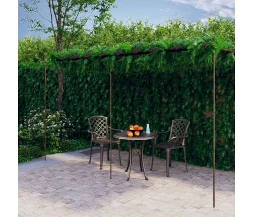 Pérgola de jardín marrón antiguo 6x3x2,5 m hierro