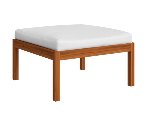 Muebles de jardín 10 pzas cojines crema madera maciza acacia