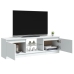 vidaXL Mueble para TV con luces LED blanco 120x30x35,5 cm