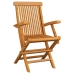 Set de comedor de jardín plegable 5 pzas madera maciza de teca