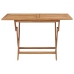 Conjunto de comedor de jardín 5 piezas madera maciza de teca