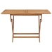 Conjunto de comedor de jardín 7 piezas madera maciza de teca