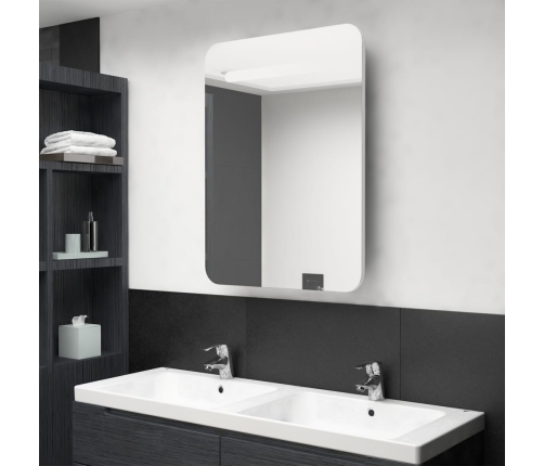 Armario de baño con espejo LED blanco brillante 60x11x80 cm