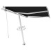 Toldo de pie automático gris antracita 350x250 cm