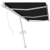 Toldo de pie automático gris antracita 600x350 cm