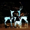 Figuras familia de renos de Navidad blanco y plateado 201 LED