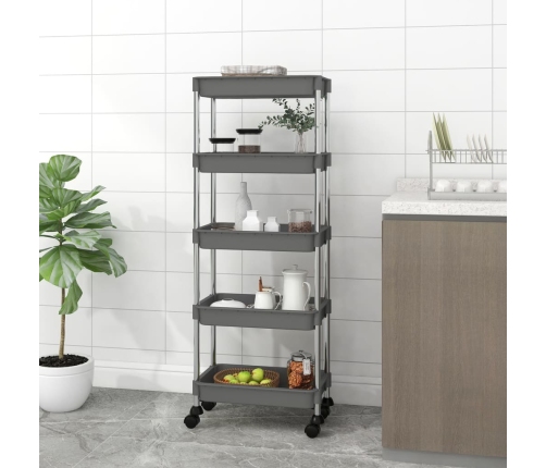 Carrito de cocina 5 niveles hierro y ABS gris 42x29x128 cm