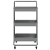 Carrito de cocina 3 niveles hierro y ABS gris 42x35x85 cm