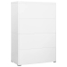 Armario archivador de acero blanco 90x46x134 cm