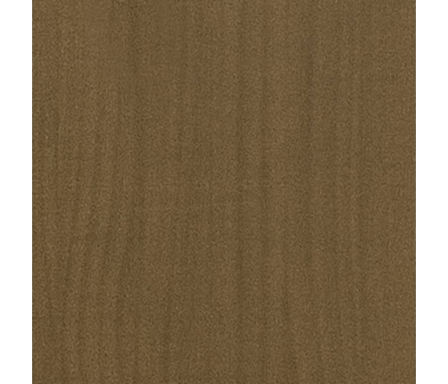 Estantería/divisor de espacios madera pino miel 100x30x71,5 cm