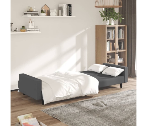 vidaXL Sofá cama de 2 plazas terciopelo gris oscuro